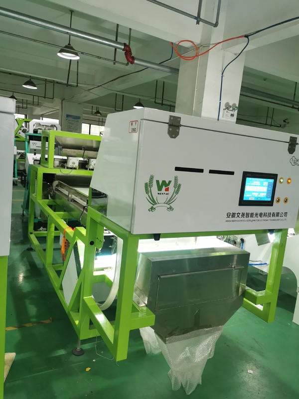 Machine de tri de la ceinture pour le tri des noix d'amande et des noix de macadamie Sorteuse de couleurs de légumes