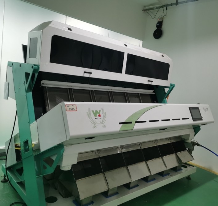 Machine de tri des couleurs de graines de tournesol Machine de traitement des graines de tournesol