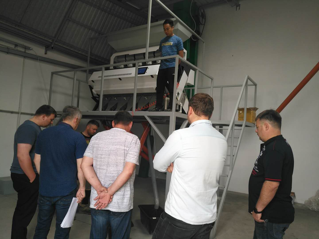 Sortisseurs de couleurs en plastique Sortisseurs de couleurs de haute précision pour animaux de compagnie Plastiques en granules ou en flocons Machines intelligentes agricoles