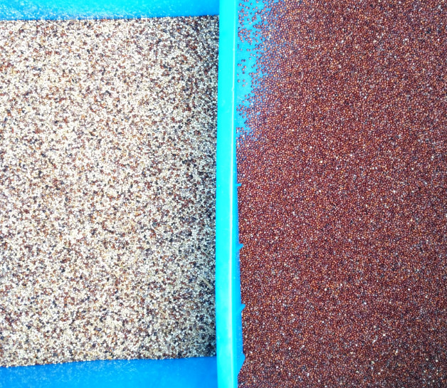 Machine de tri des graines de quinoa en couleur Long grain de riz parboiled Color Sorter Optique sélecteur de couleur de graines
