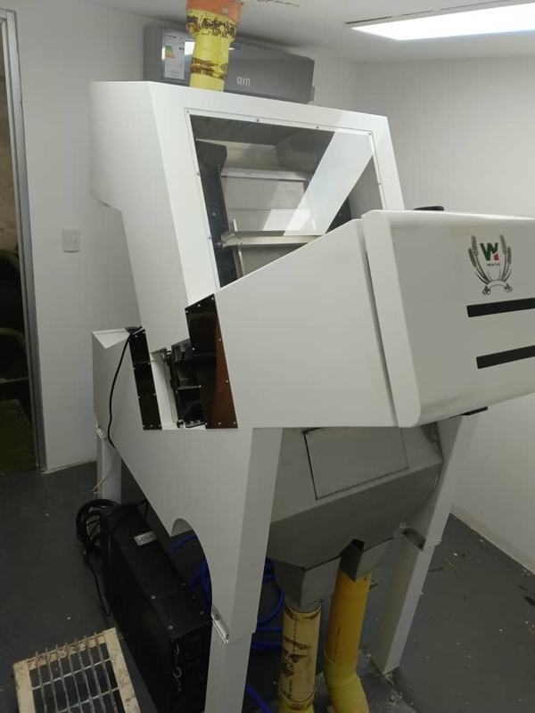 Wenyao 1 Chute Fruit Color Sorting Machine de tri des couleurs de l' épine de mer