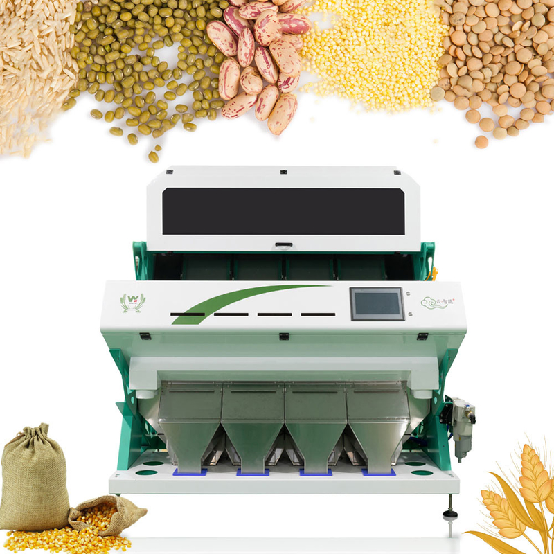 Société Machine de tri des céréales de riz Machine de tri des couleurs Wenyao Nouveau produit 2025 Personnaliser fourni CCD Tri automatique