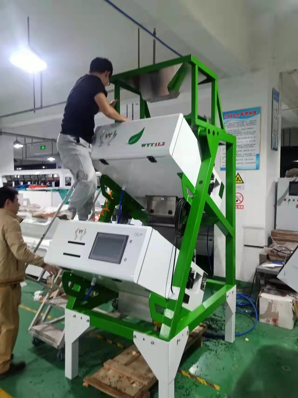 Anhui Wenyao Certification CE Sortisseur optique Machine de tri des couleurs de thé CCD