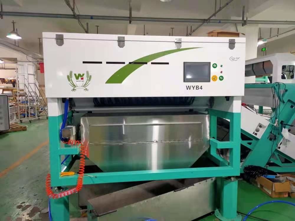Machine de tri de l'ail frais et sec Machine de tri de la couleur de l'ail Optical Color Sorter Manufacturer