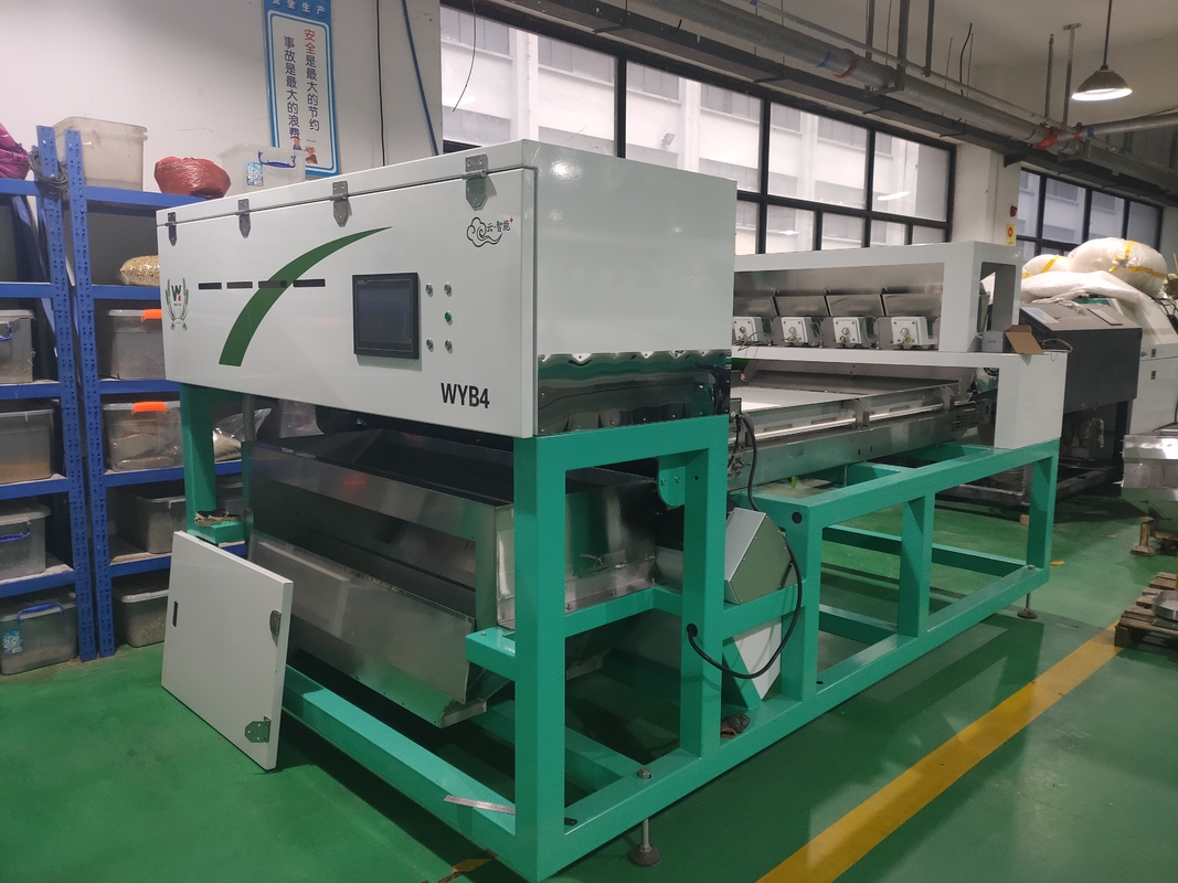 Machine de tri de l'ail frais et sec Machine de tri de la couleur de l'ail Optical Color Sorter Manufacturer