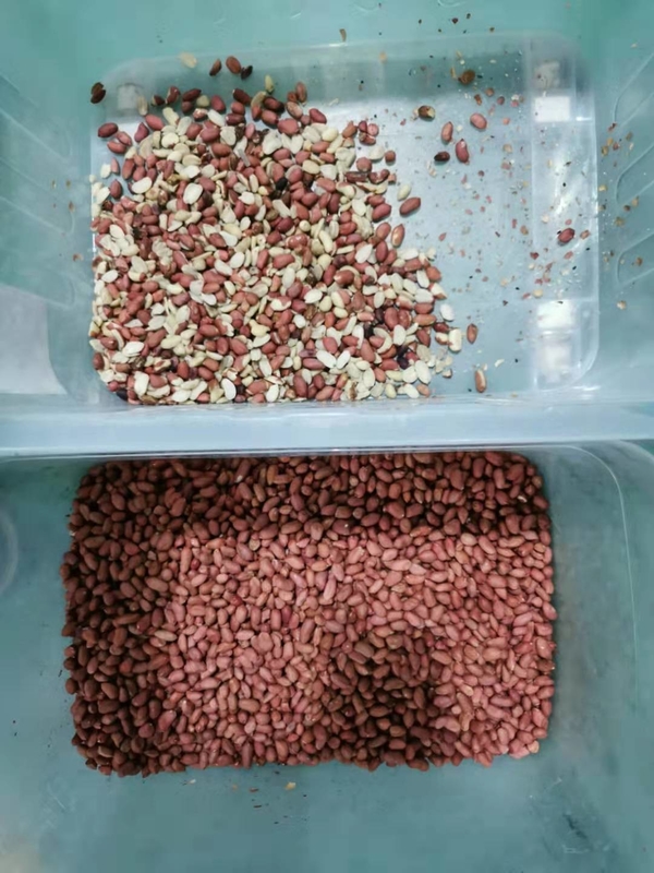 CCD caméra de tri des couleurs de riz machine de tri intelligente pour l'agriculture