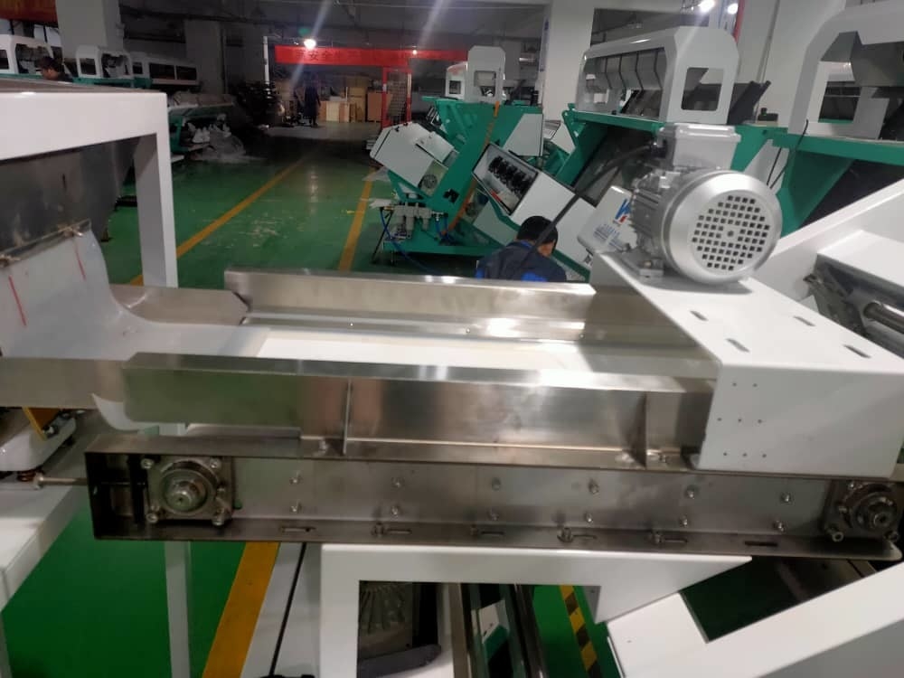Machine de tri de couleurs multifonctionnelle pour les fruits frais et surgelés