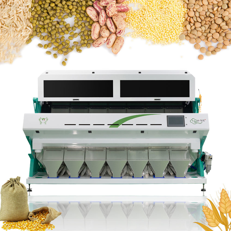 WENYAO Système automatique de tri des couleurs à haut rendement pour les noix et les fruits secs