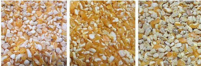 Sorteur optique de couleurs CCD à 320 canaux pour les raisins secs avec certification CE