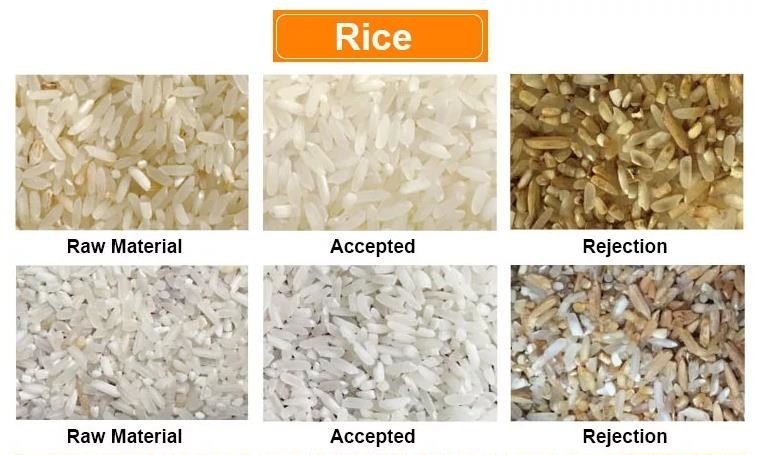 Machine de tri de noix et de riz de précision personnalisable pour la maison et la ferme