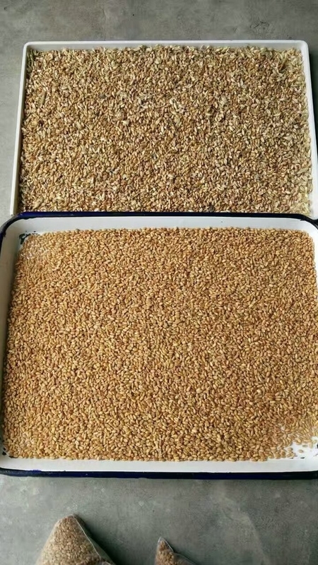 CCD Sésame / soja / sorgho / millet / blé / maïs / maïs / riz blanc