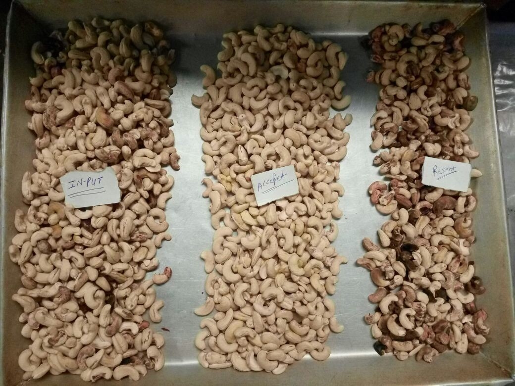 Machine de tri des noix de macadamia de couleur Wenyao