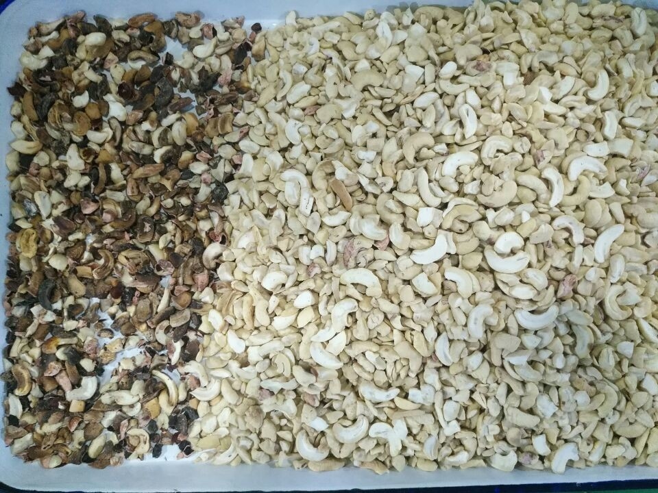 Machine de tri des noix de macadamia de couleur Wenyao