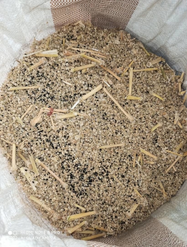 WENYAO Machine de tri des graines avec une précision de tri de 99,99%