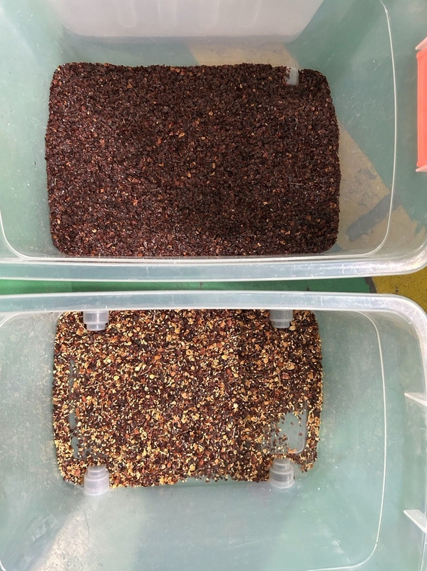 WENYAO Machine de tri des graines avec une précision de tri de 99,99%
