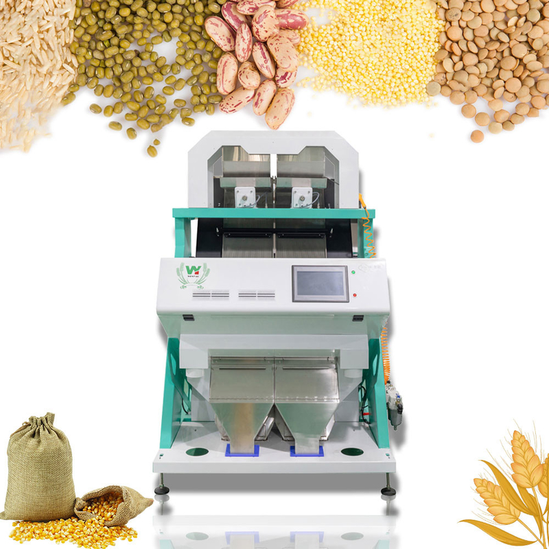 Wenyao Machine de tri des couleurs de noix de pécan intelligente de haute précision Machine de tri des noix de noix de cashew multifonctionnelle