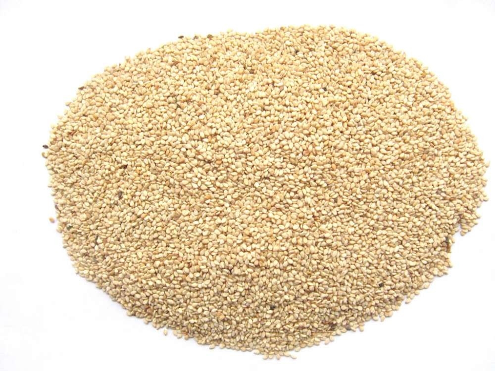 Sorteur de couleurs de source lumineuse LED pour les graines de tournesol, les grains de café, le blé et le riz 99,99% de précision