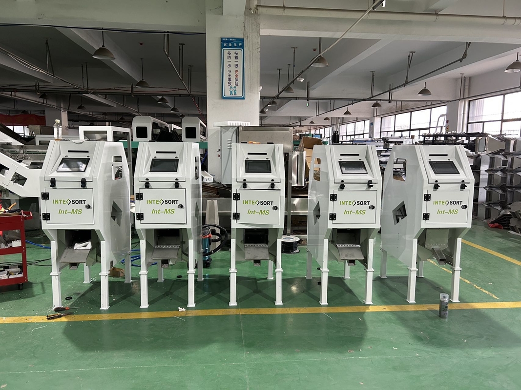 WYCS1-32 Intelligent Macadamia Nut Cashew CCD Sorting Machine Sélecteur de riz Machine de tri des céréales de couleur Faible prix