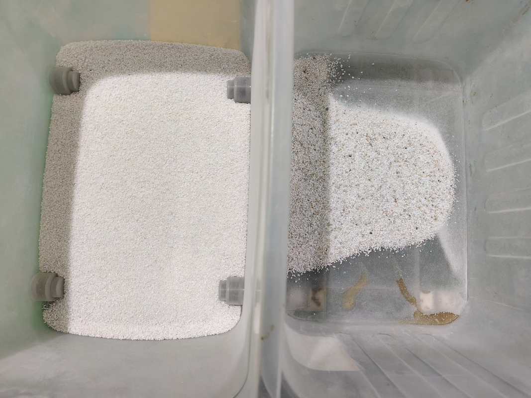 Machine de tri en acier inoxydable avec caméra Ccd