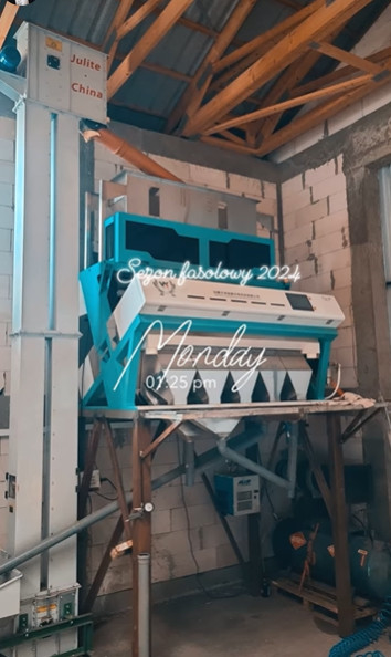 Machine de tri des grains multifonctionnels de grains de riz et de poivrons