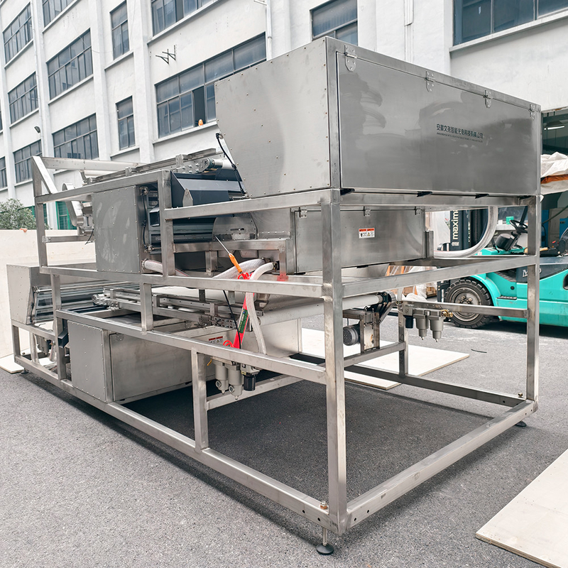 Machine de séparation des couleurs en acier inoxydable 304 de qualité alimentaire