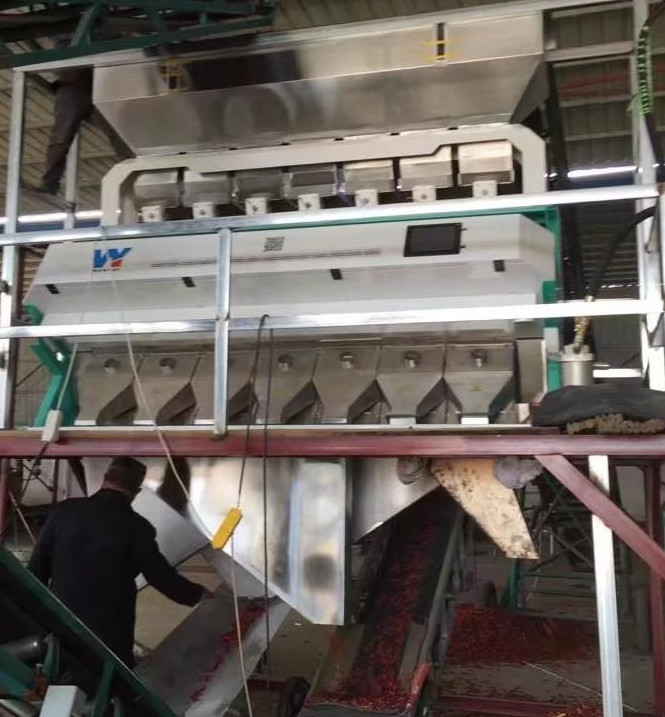 Sortisseur de couleurs intelligent CCD Caméra Sortisseur de couleurs Raisin Color Sorting Machine