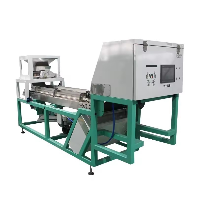 Machine de tri des couleurs de ceinture à haut rendement Wenyao Ail Fruits secs légumes Crevettes Poissons Color Sorteur Made in China