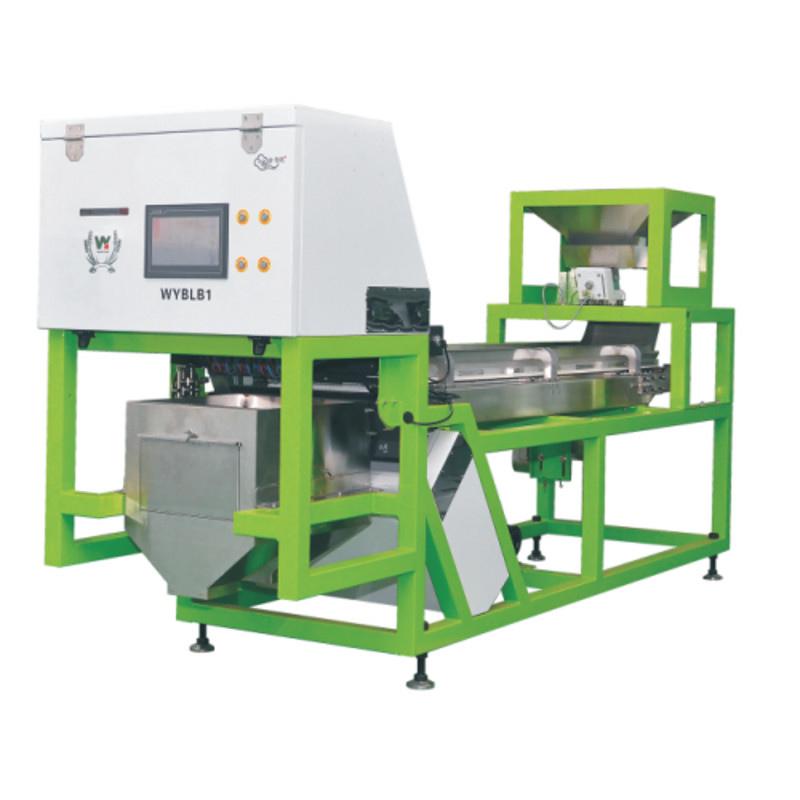 Machine de tri de l'ail frais et sec Machine de tri de la couleur de l'ail Optical Color Sorter Manufacturer