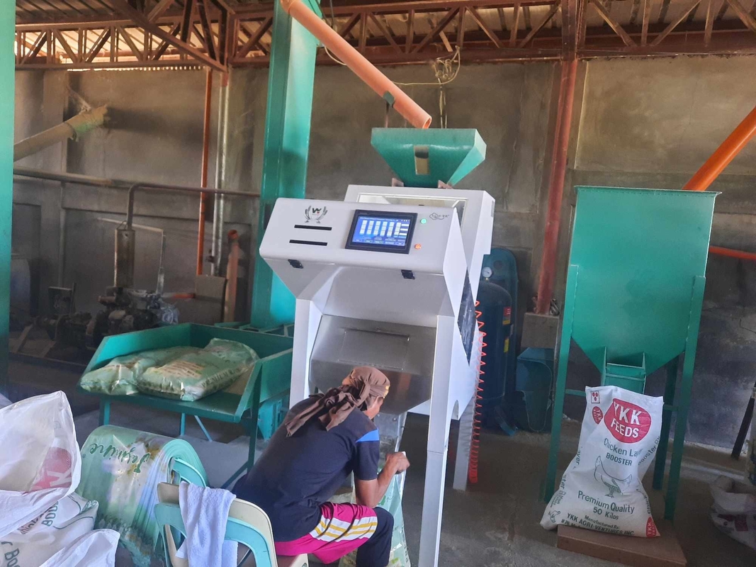 Wenyao Machine automatique de tri des raisins secs de couleur