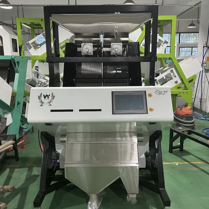 Machine de tri des couleurs par caméra à CCD Wenyao Sorteur automatique de couleurs de pois chiches