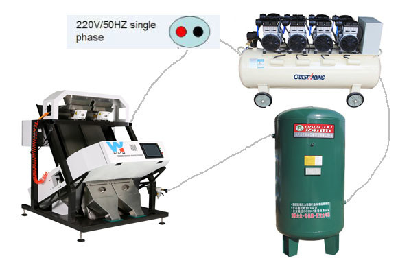 Machine de tri des couleurs par caméra à CCD Wenyao Sorteur automatique de couleurs de pois chiches