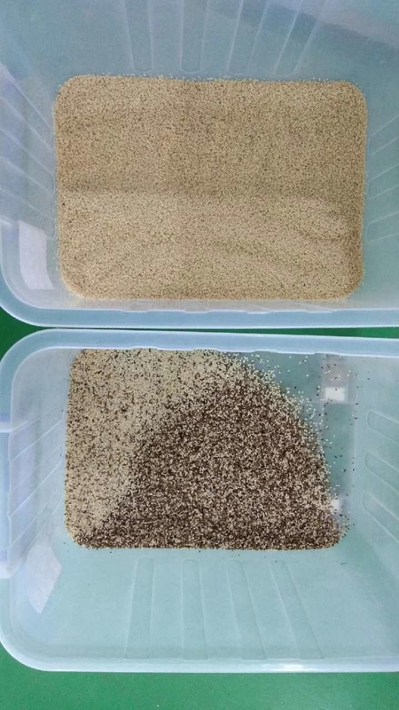 Wenyao 500-1500 kg/h Grains de café Rice Garin Color Triage optique des céréales Color Sorteur machine