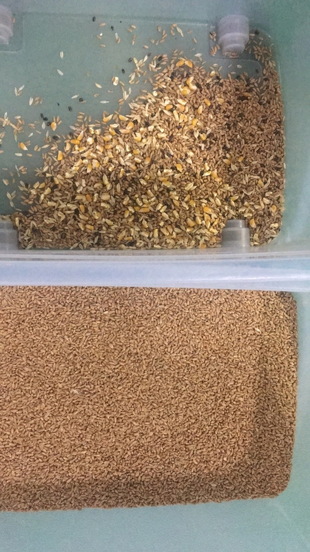 Wenyao Intelligent Color Sorting 4 Chute Machine de tri de la couleur du blé pour les grains