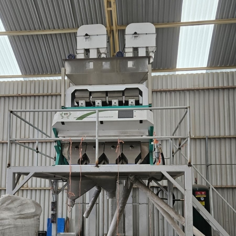 Wenyao automatique de tri des noix de hasard de couleur multifonction des noix de couleur de tri machine