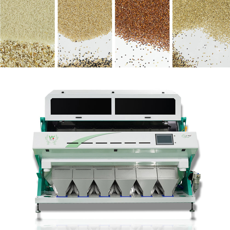 Wenyao Intelligent CCD Camera 6 Chute Color Sorting Machine de tri des couleurs de sésame