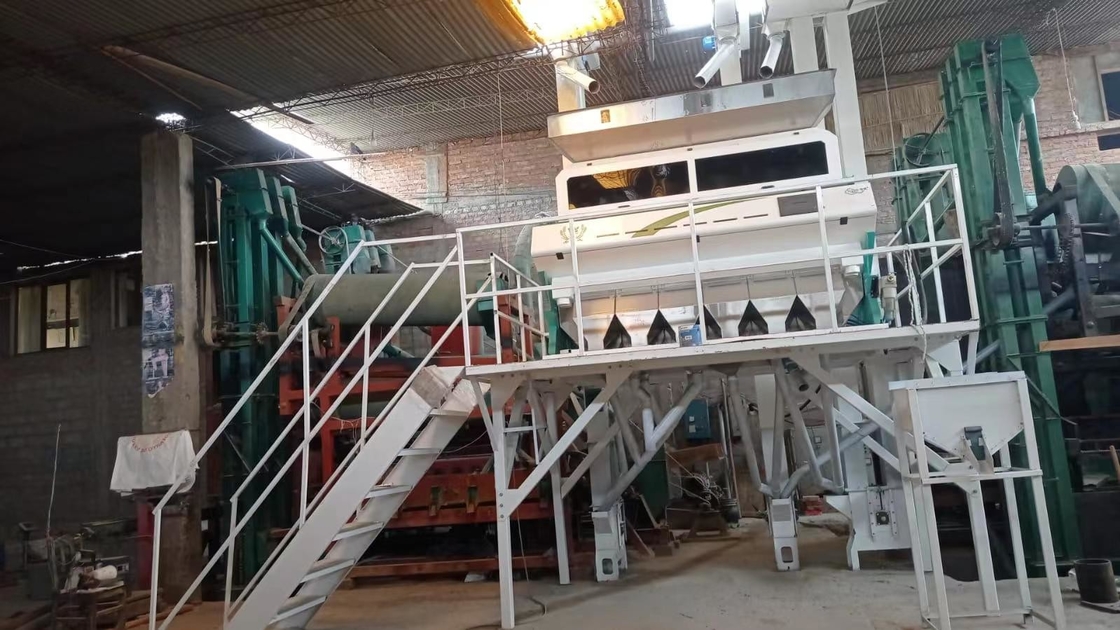 Wenyao Intelligent CCD Camera Color Sorter Machine de tri des couleurs de cacahuète