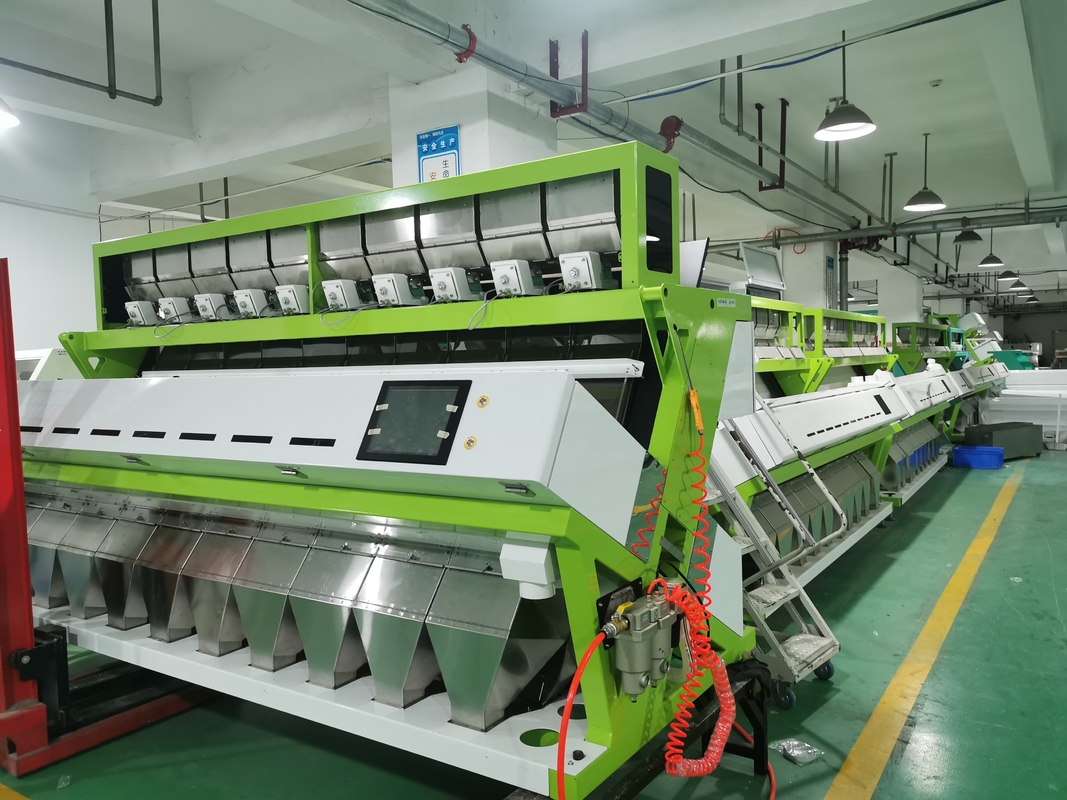 Machine de tri des graines de GORDON EURYALE Noix de Macadamie
