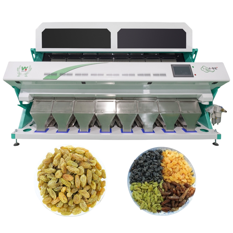 Machine de tri des raisins secs à haute vitesse de traitement
