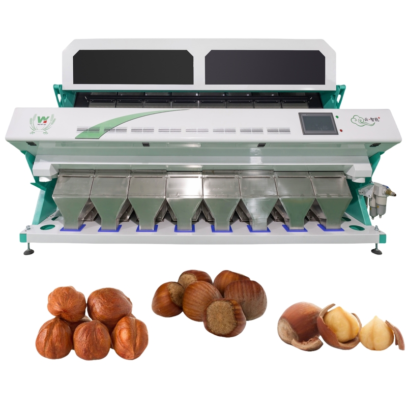 Machine de tri des couleurs de noix de cajou Wenyao Caméra CCD Tri des couleurs intelligent pour les noix et les haricots