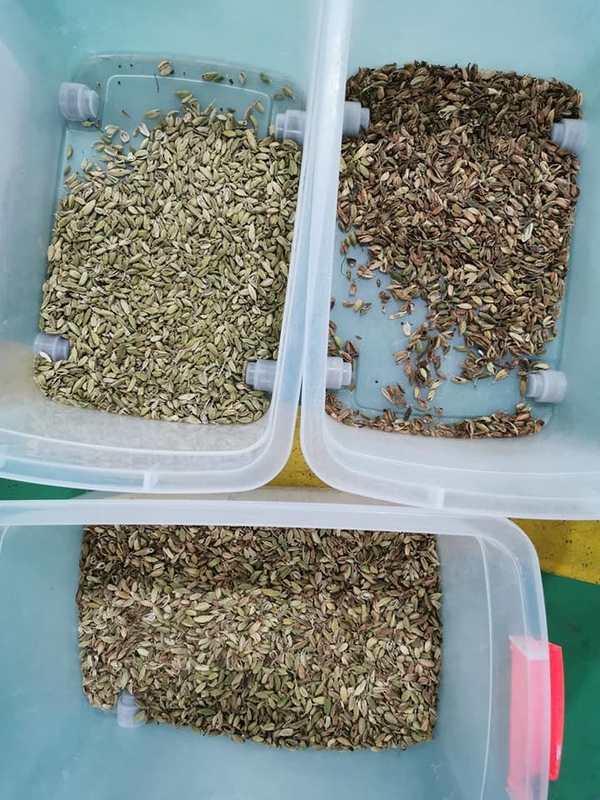 Machine de tri des couleurs professionnelle Wenyao Sorteuse automatique de couleurs de cardamome