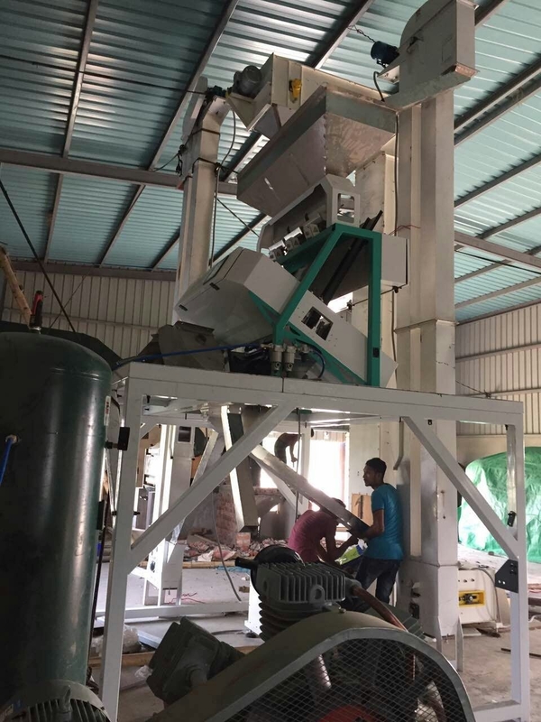 Machine de séparation de noix de terre WenYao Noix de châtaignier Sorteur de couleur pour nettoyer et classer les arachides
