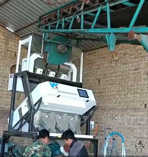 Machine de séparation de noix de terre WenYao Noix de châtaignier Sorteur de couleur pour nettoyer et classer les arachides