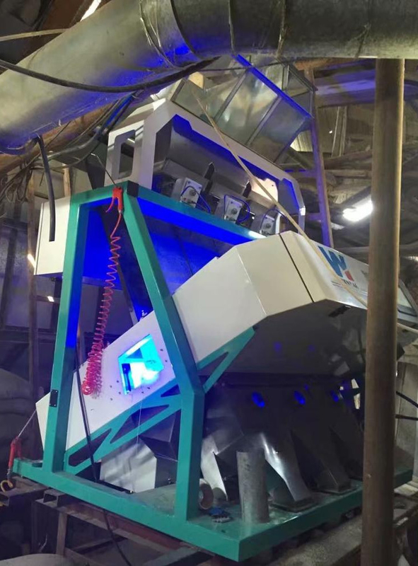 Machine de séparation de noix de terre WenYao Noix de châtaignier Sorteur de couleur pour nettoyer et classer les arachides