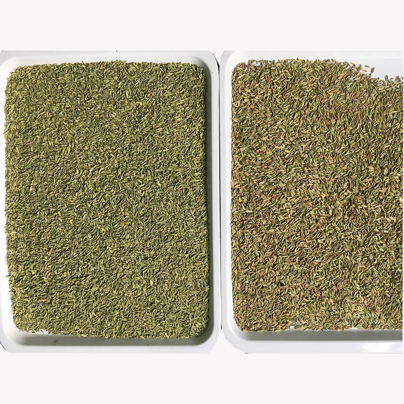 Trieur de couleurs CCD 320 canaux pour grains de riz et haricots avec une précision de 99,99 %