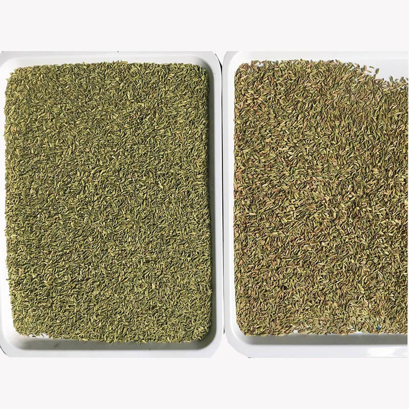 Chine Vente à chaud machine automatique intelligente de tri des graines de coriandre