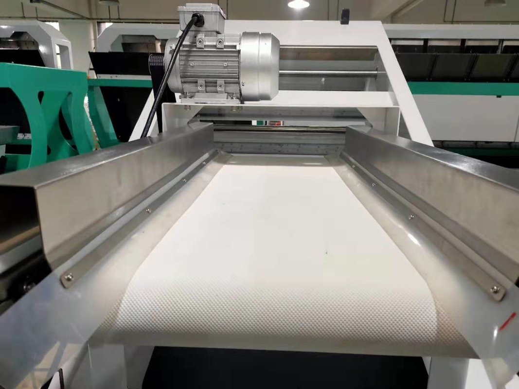 Machine de tri des couleurs de café et cerisier de l'usine de Wenyao