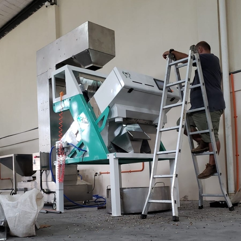 Wenyao professionnel Red Renal Bean Color Sorting Machine de tri optique des couleurs pour les haricots Grains