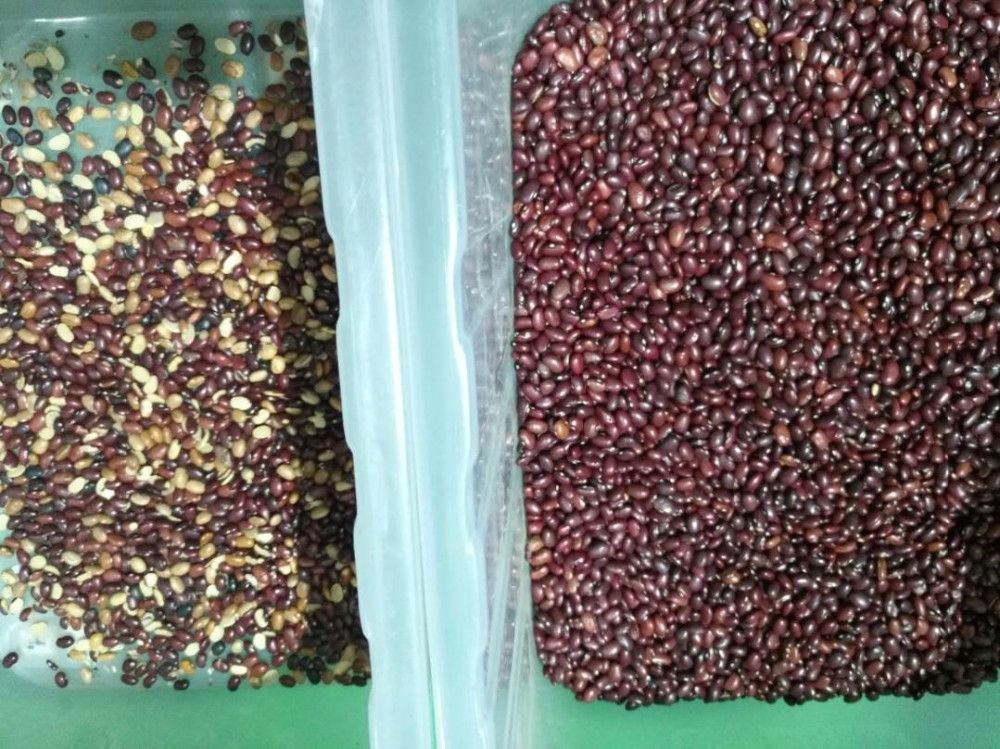 Wenyao professionnel Red Renal Bean Color Sorting Machine de tri optique des couleurs pour les haricots Grains