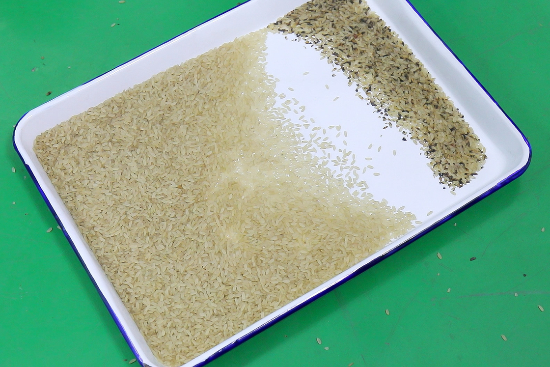 Dispositif de tri du riz à haut capteur Wenyao Machine de tri et de tri du riz pour petit moulin à riz