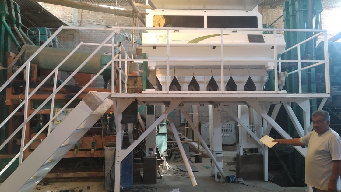 Machine de tri des couleurs de graines de lin à l'aide d'une caméra CCD